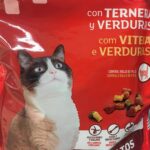 Comida húmeda para gatos Mercadona: Opiniones y opciones disponibles