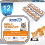 Comida natural para gatos con insuficiencia renal: Nutrición saludable para el bienestar de tu felino