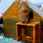 ¿Cómo hacer refugios para gatos callejeros?