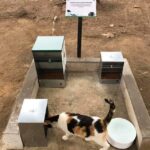 Cómo hacer una casa para gatos callejeros: brindando refugio y apoyo comunitario