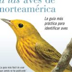 Complementos para pájaros: la guía definitiva