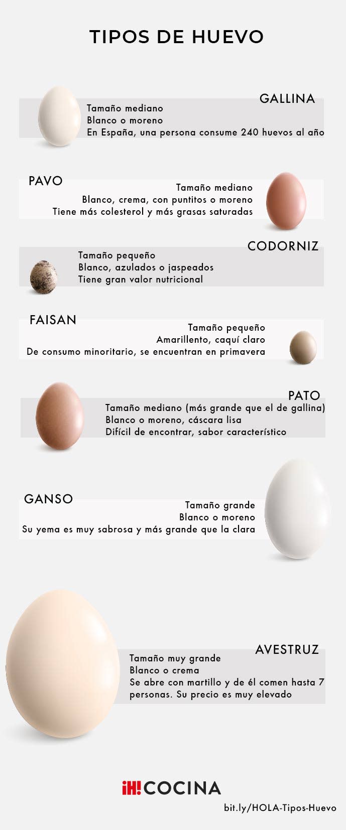 ¿Cuál es el mejor tipo de huevo?