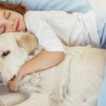 ¿Dónde deben dormir los perros en invierno?