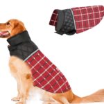 Los mejores abrigos para perros en invierno